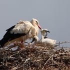 Mama mit dem "Ältesten"