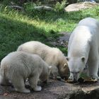 Mama mit ihren Zwillingen