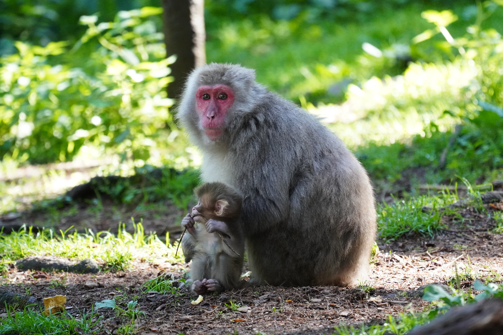 Mama mit Kind