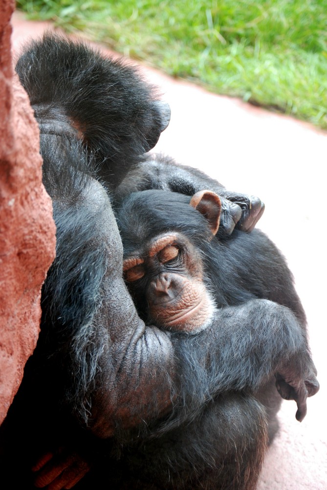 Mama mit Kind