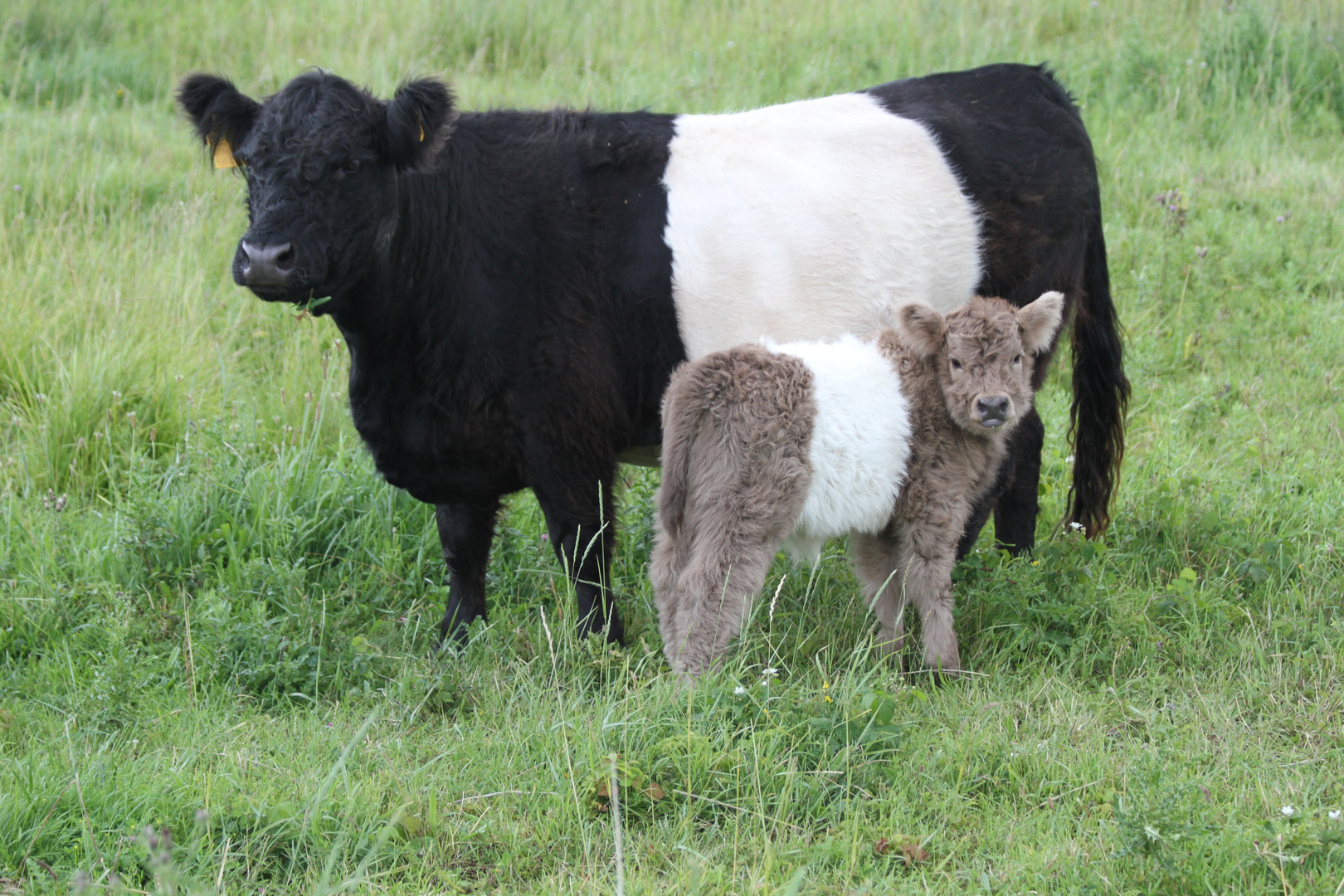 Mama mit Kind