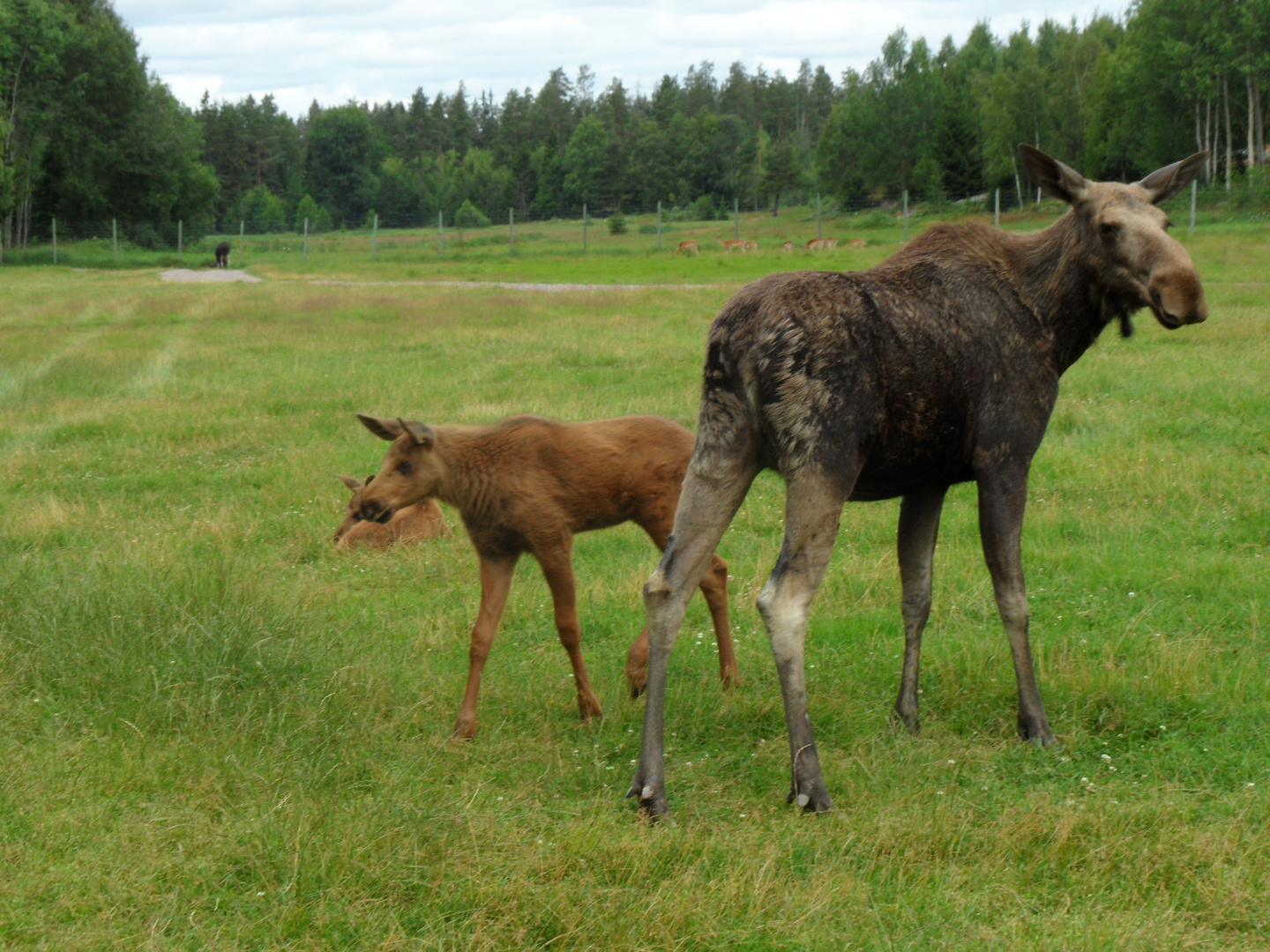 Mama mit Kind