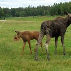 Mama mit Kind