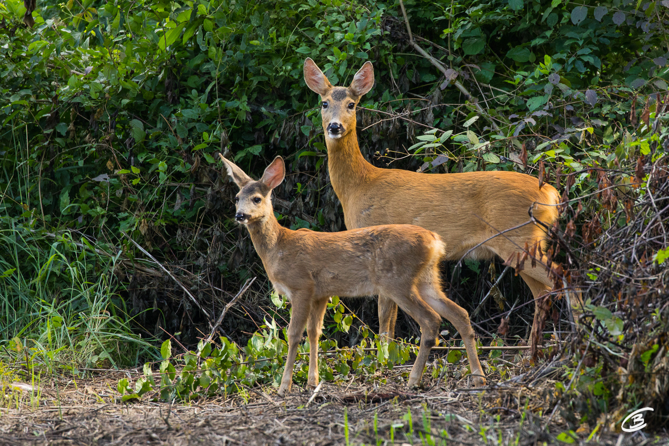 Mama mit Kind