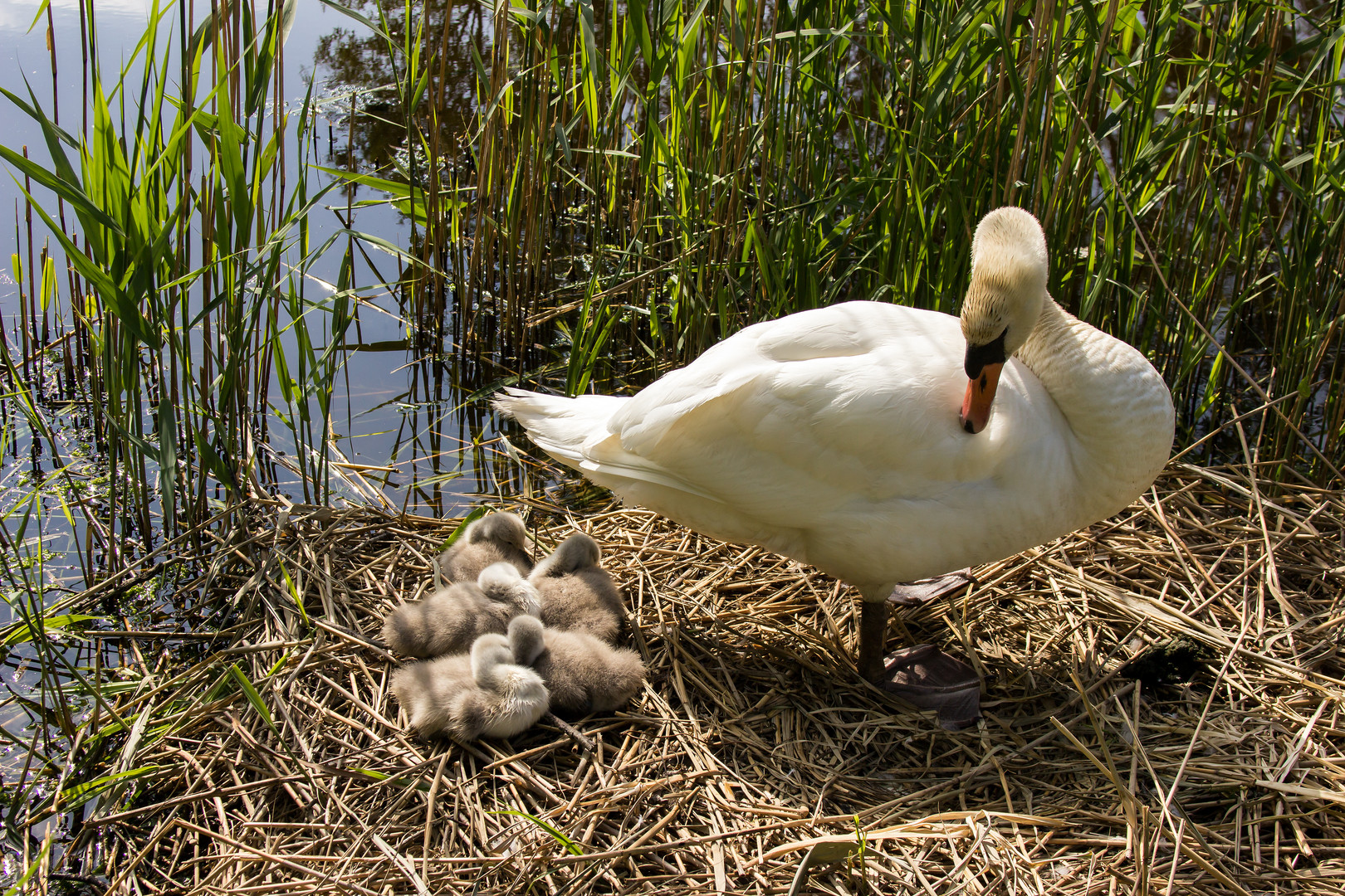 Mama mit Kinder