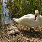 Mama mit Kinder