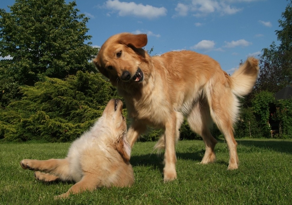 Mama mit Tochter