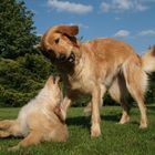 Mama mit Tochter