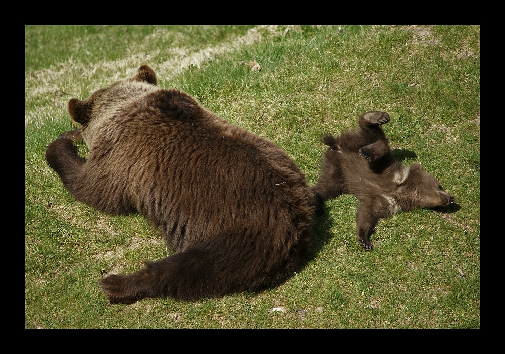 Mama, nun guck doch endlich !