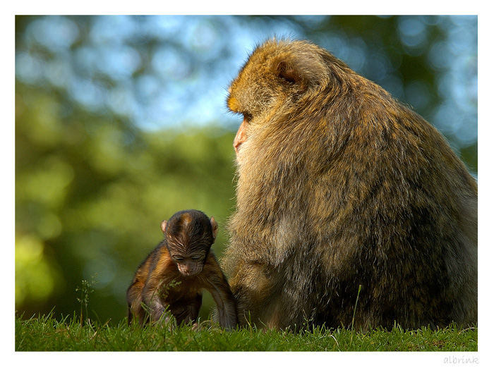 Mama passt auf