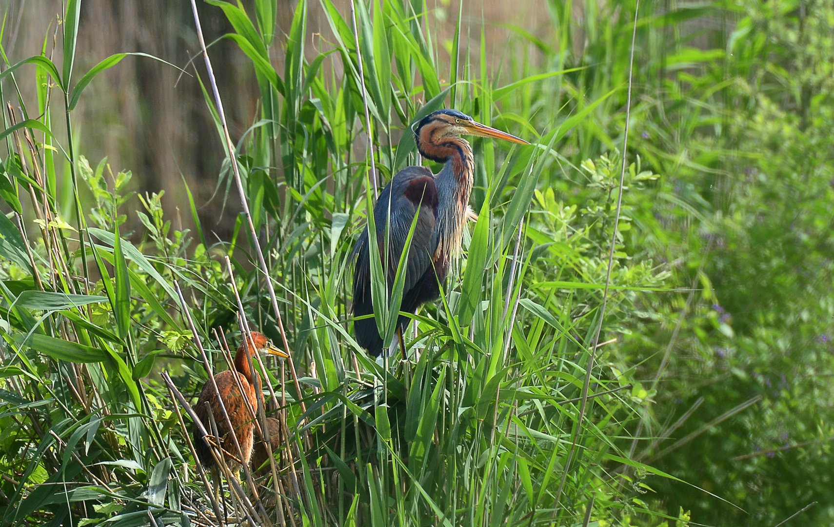 Mama passt auf