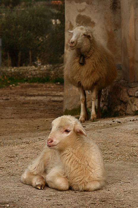 Mama passt auf!