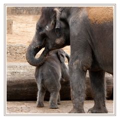 Mama passt auf!