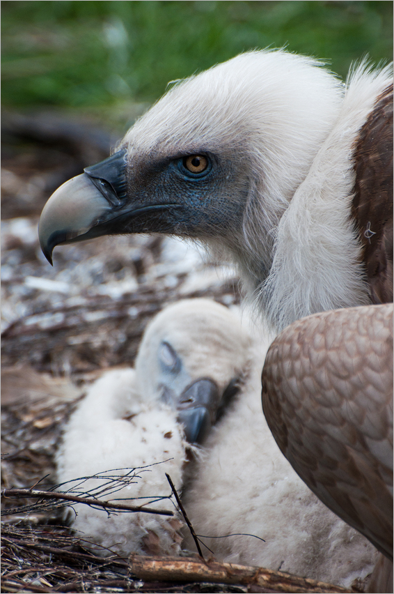 Mama passt auf - Baby schläft