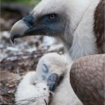 Mama passt auf - Baby schläft