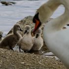 Mama passt immer auf!!!!