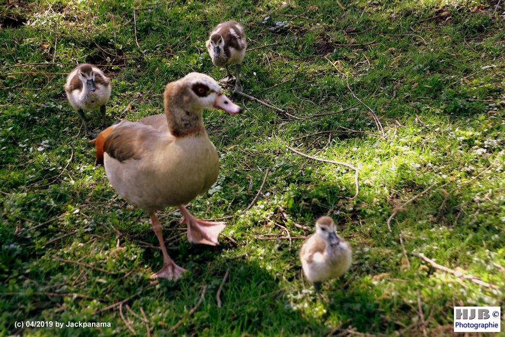 Mama präsentiert stolz ihren Nachwuchs