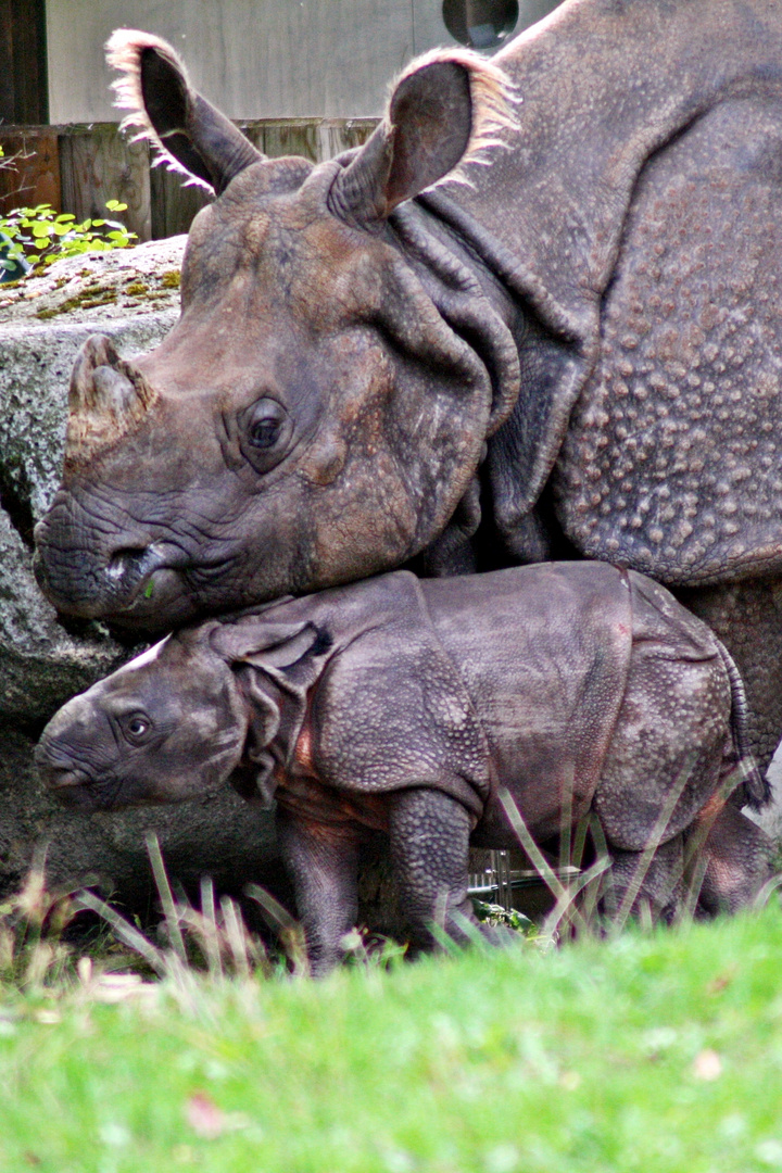 Mama Rapti und Sohnemann Puri