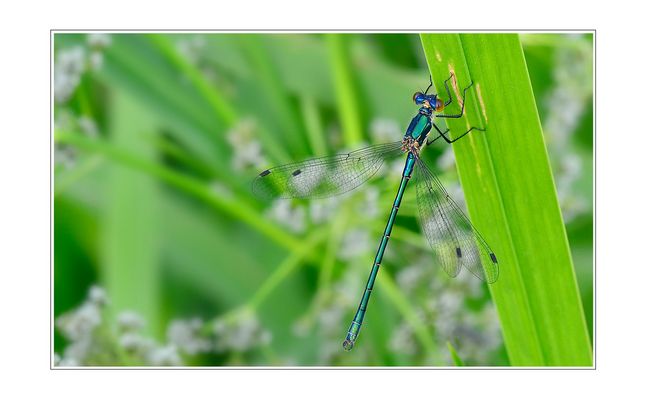 Mama sagt, ich soll beim sitzen den Rücken gerade halten ;O)