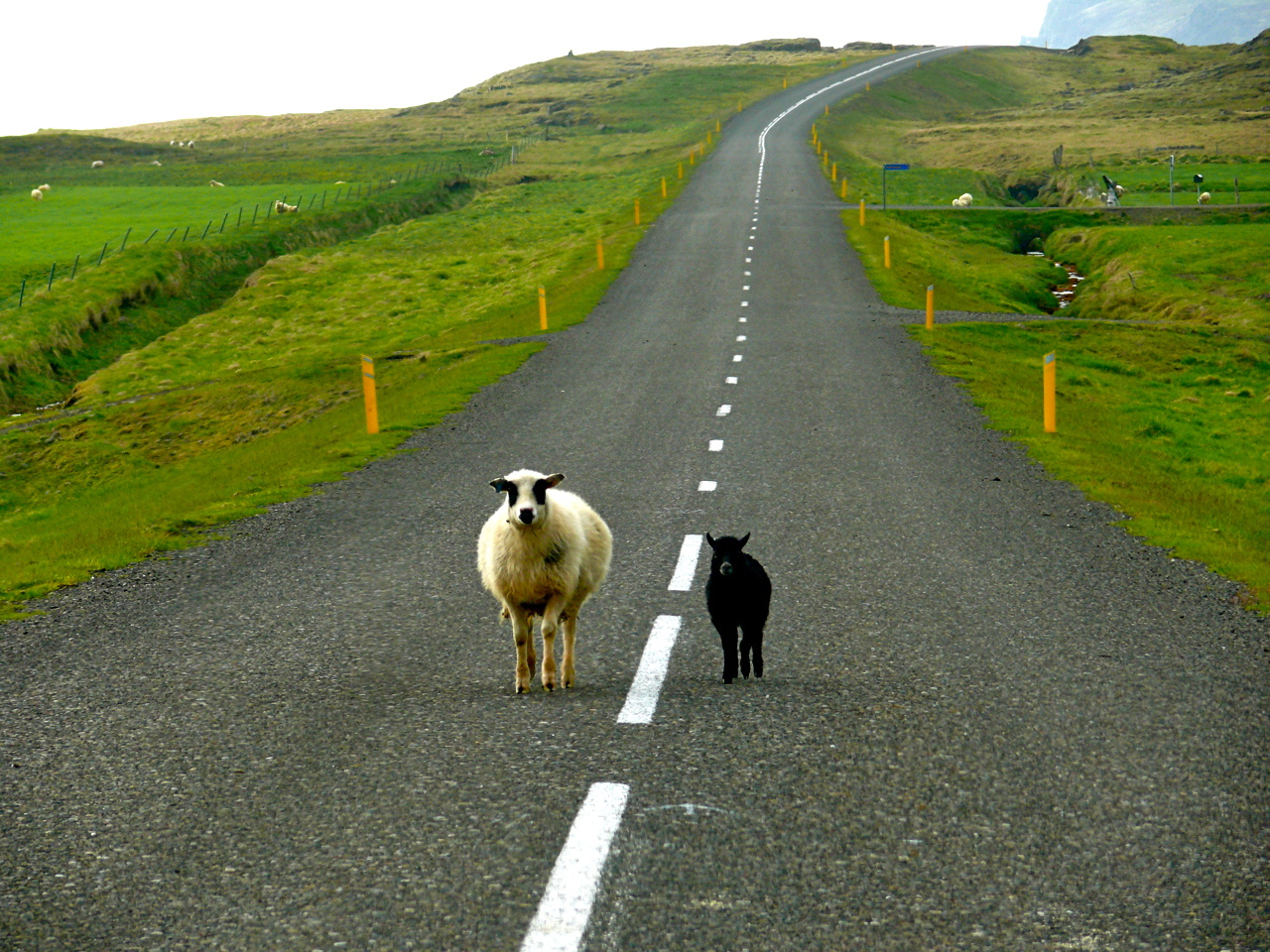 Mama .... sind wir bald da???