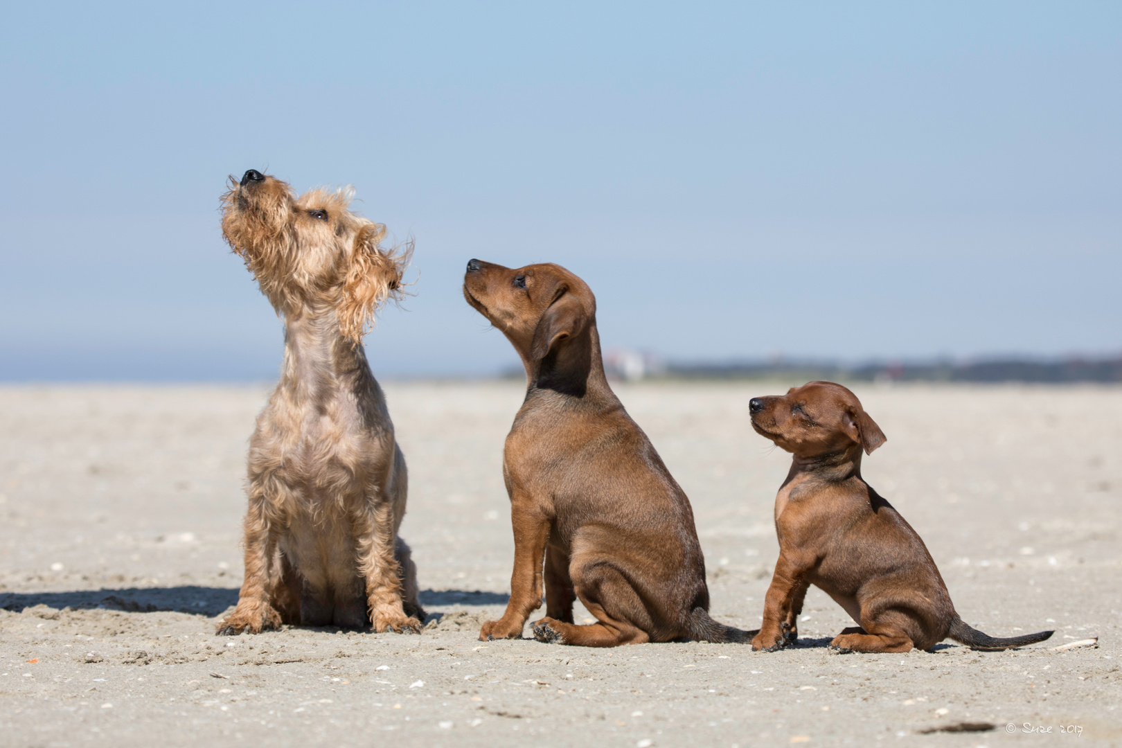 Mama, Sohn und Tochter