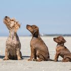 Mama, Sohn und Tochter