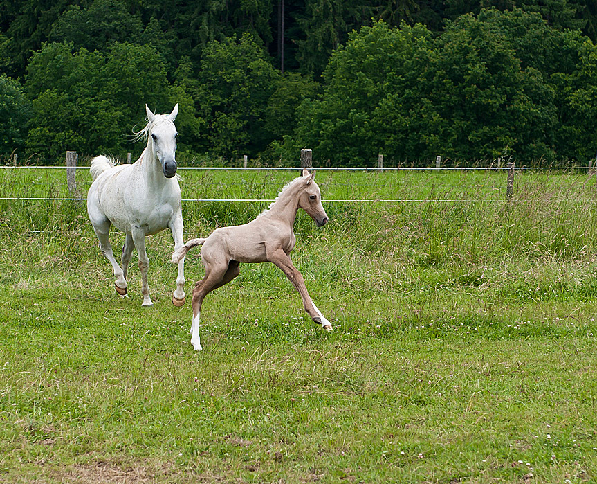 Mama, spiel mit mir