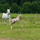 Mama, spiel mit mir