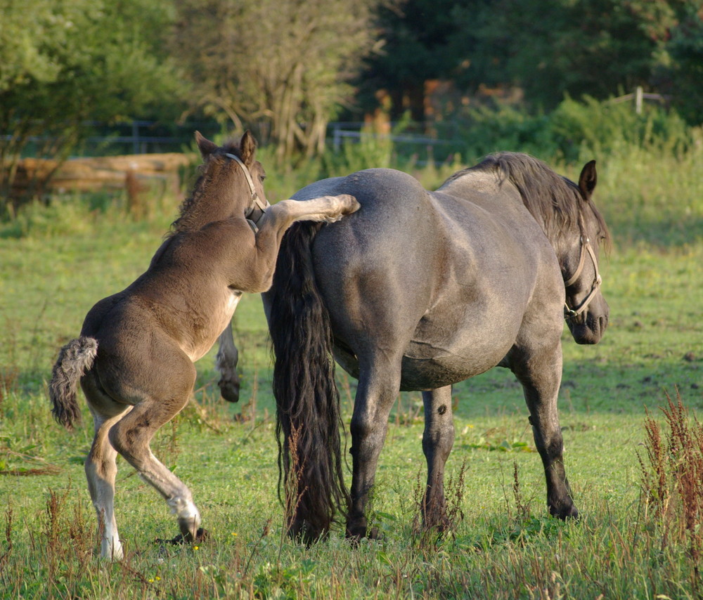 Mama, spiel mit mir!!!