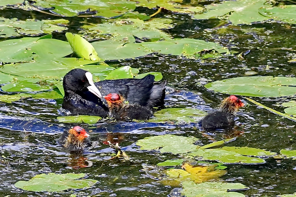 Mama und 3 von 7