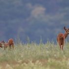 Mama und die Kinder