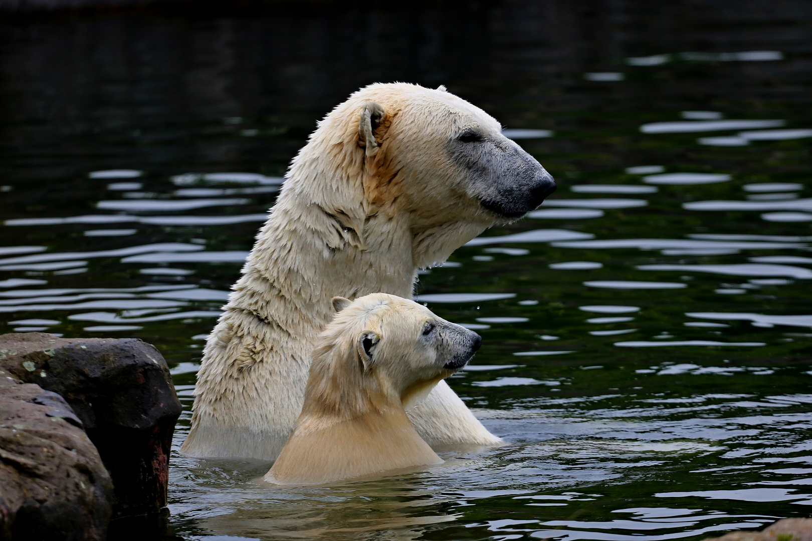 Mama und ich !!!