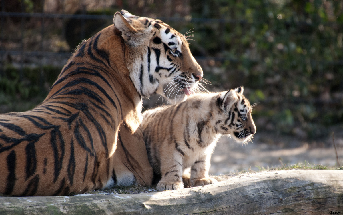 Mama und ich...