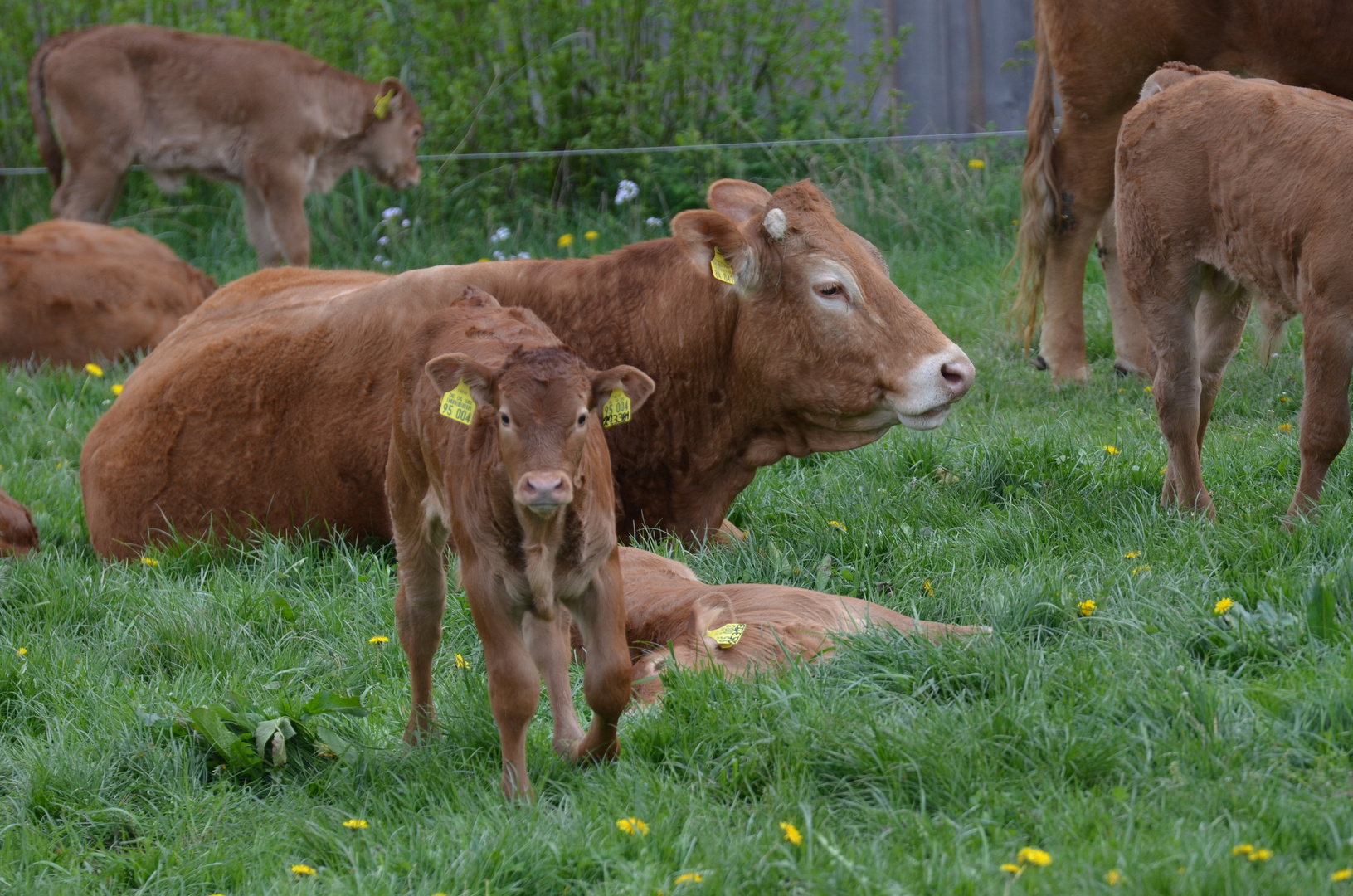 mama und ich