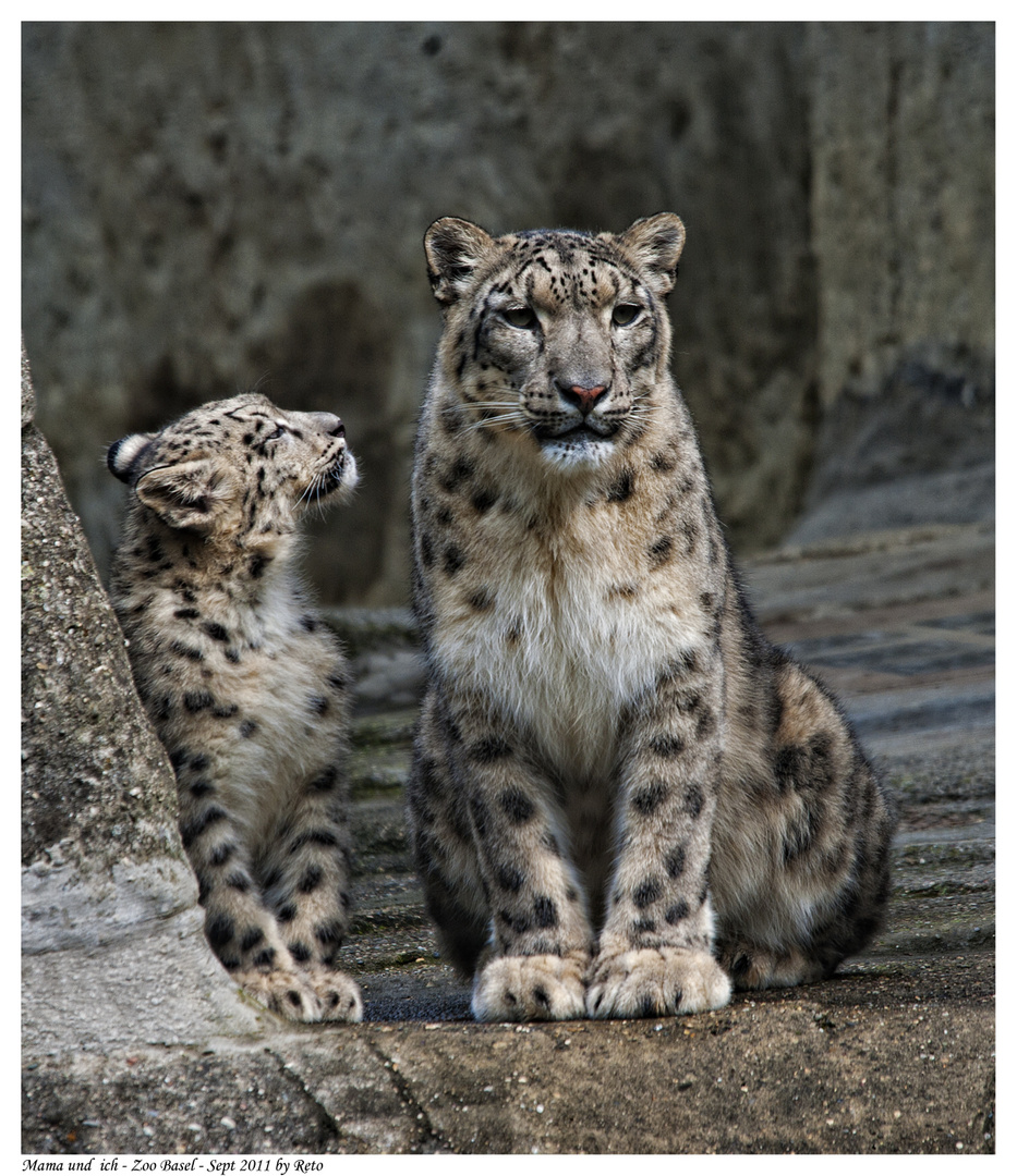 Mama und ich