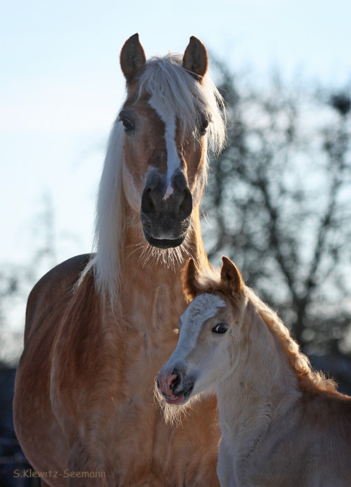 Mama und Kind