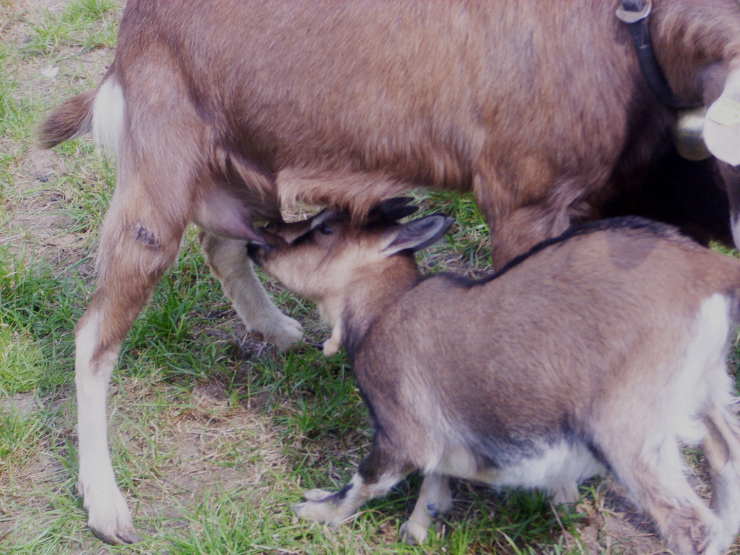 Mama und Kind