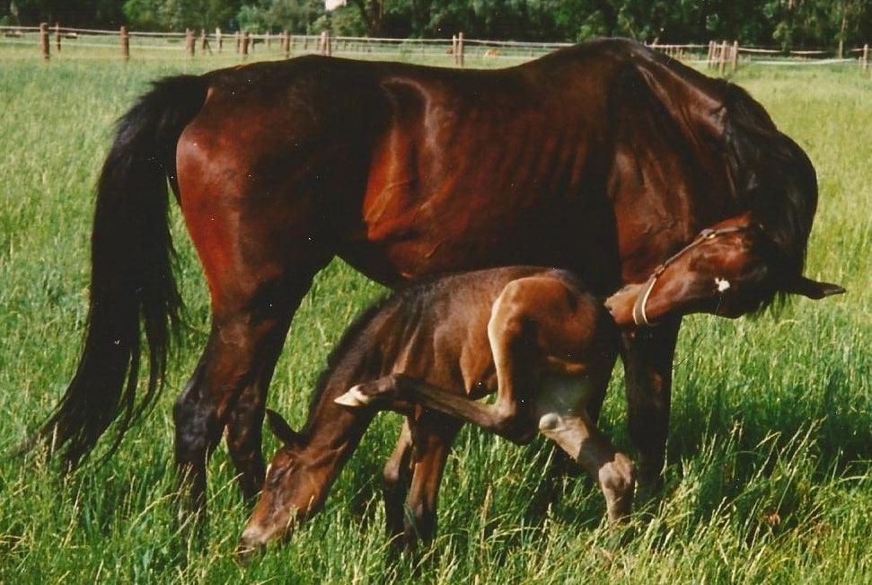 Mama und Kind