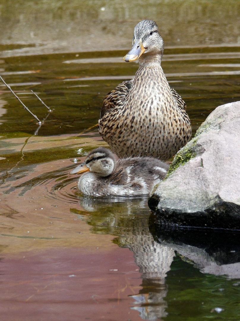 Mama und Kind