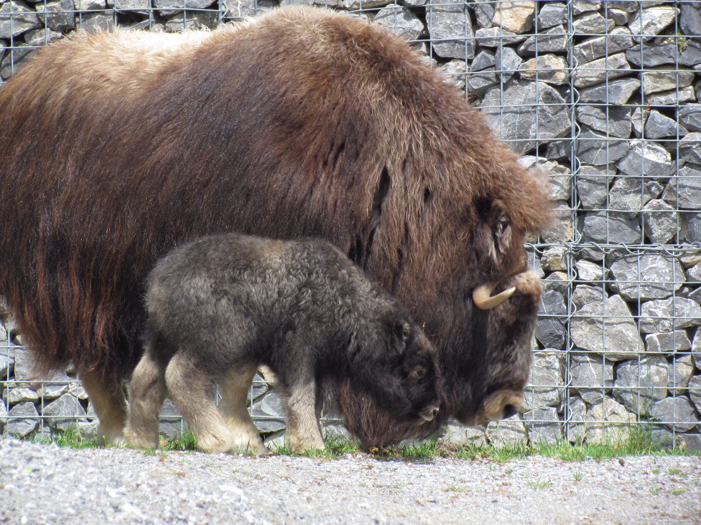 Mama und Kind