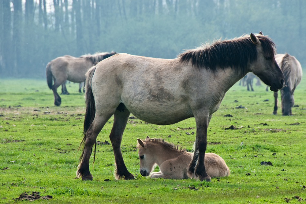 Mama und Kind