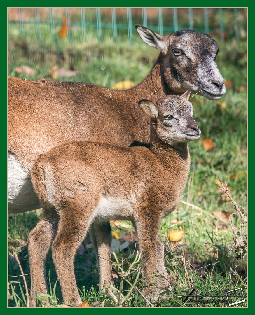 Mama und Kind