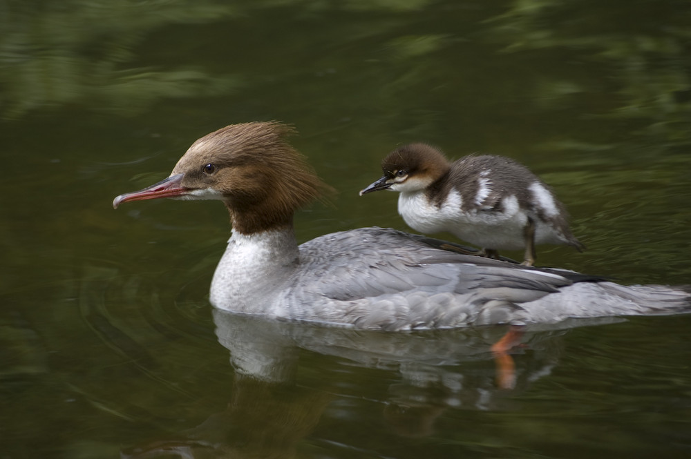 Mama und Kind beim Baden