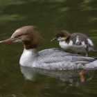 Mama und Kind beim Baden