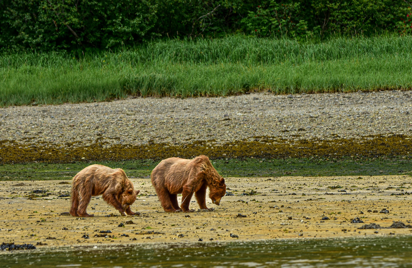 Mama und Kind.                    DSC_5335