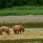 Mama und Kind.                    DSC_5335