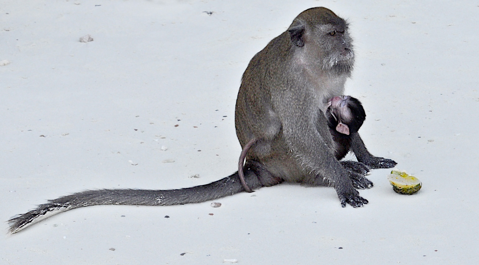 Mama und Kind