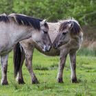 Mama und Kind