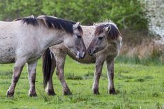 Mama und Kind