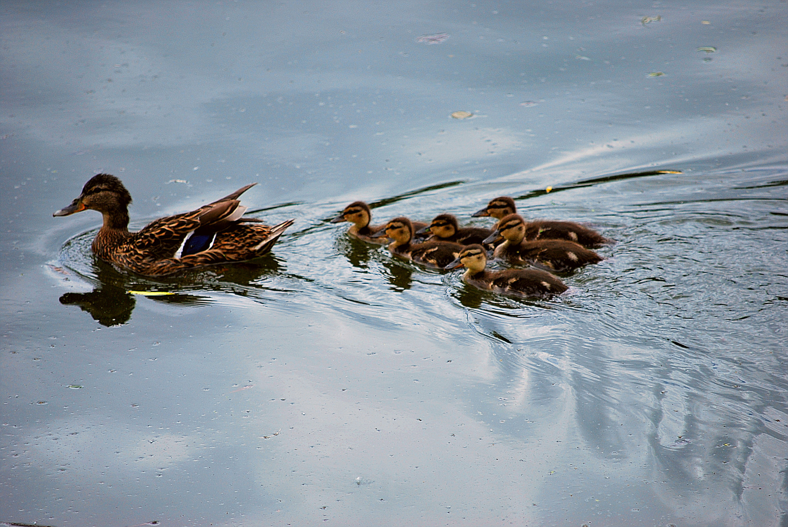 Mama und Kinder